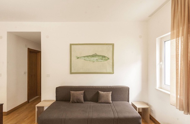 VILA PETROVIC One room Apt. With terrace (ground floor)