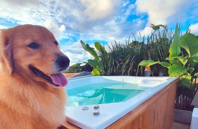 Vila Pitangueira - Apto Laranja - No Centro de Serra Grande com Piscina, Jacuzzi, Internet Veloz