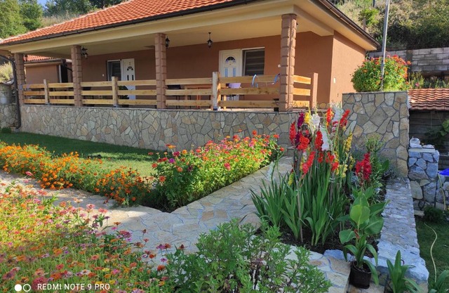 Vila Vera Borsko Jezero