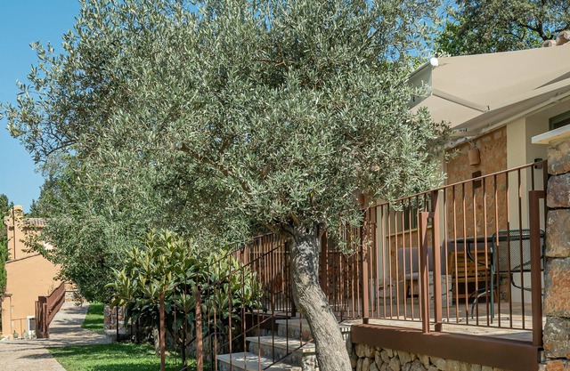 Villa #6- Life in middle of a vineyard, with a 600 Mb WIFI. Made for Nomads.