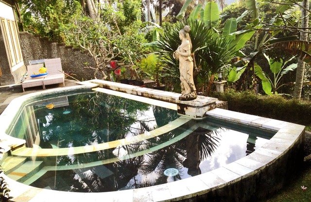 Villa Amanda D' Ubud Private Villa with Pool