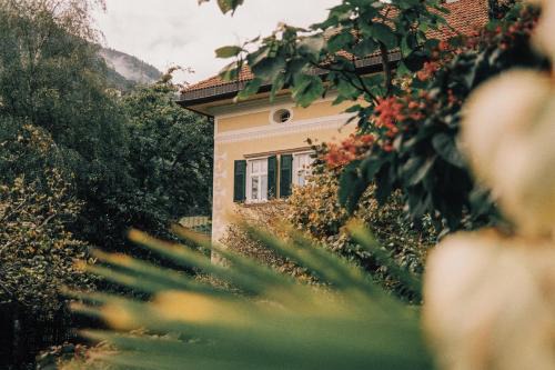 Villa Arnica