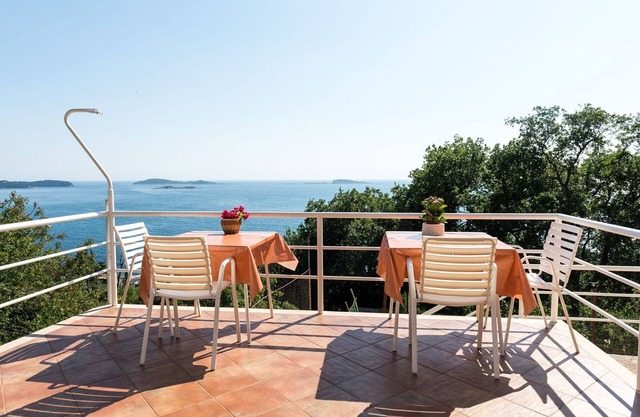 Villa Barbara - Comfort Studio with Terrace and Sea View (br. 1)
