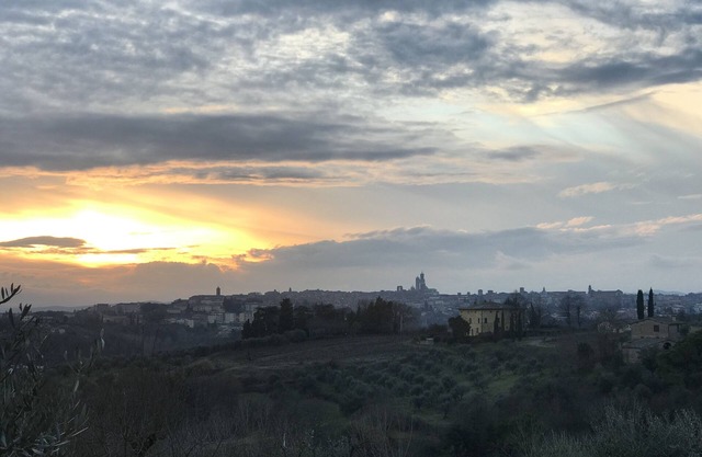 Villa Belvedere, surrounded by nature a stone's throw from the city center. Relax.