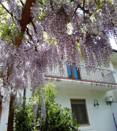 Villa Biancofiore