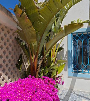 Villa Calypso