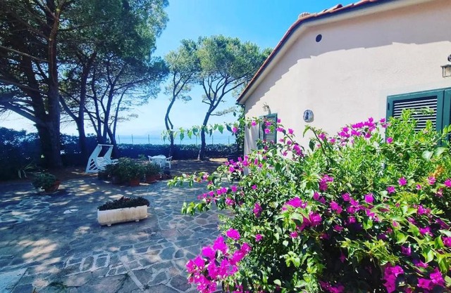 Villa dei Cavallucci Marini
