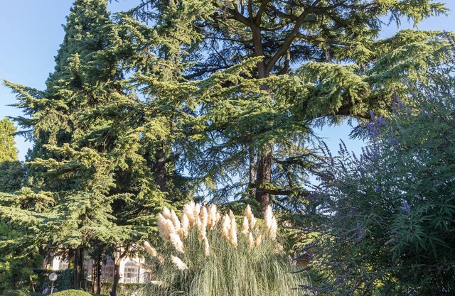 Villa Dei Cipressi, near Lake Garda, Verona and Gardaland