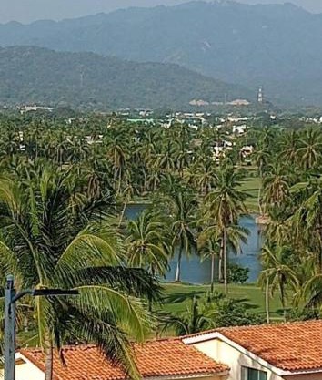 Villa del Palmar departemento