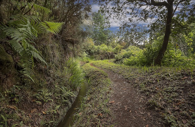 Villa Dennis - in the sunny and warm south-west of the island of Madeira