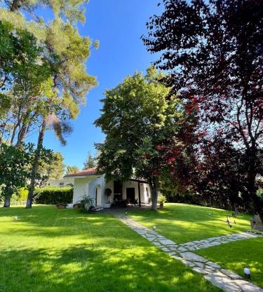 Villa Diomedes