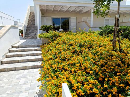 Villa direttamente sul mare Gallipoli
