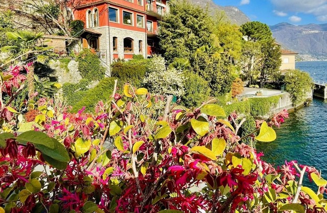 Villa Donati - private access to the lake