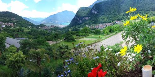 Villa Dream alla Beppa