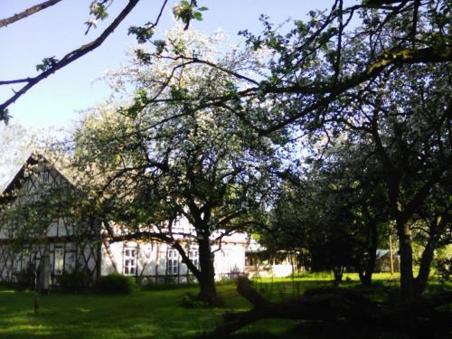 Villa Eden Peene