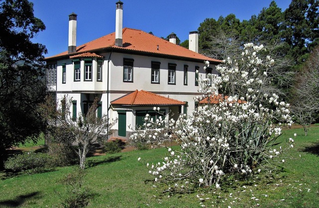 Villa Getaway in Santo António da Serra