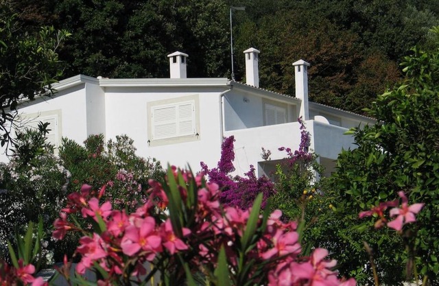 Villa Giulia - Apartment in Villa with sea view