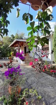 Villa Helena