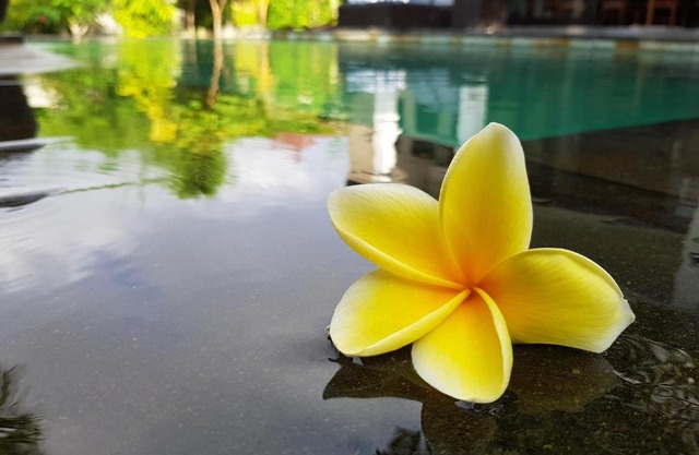 Villa Horizon Nusa Dua