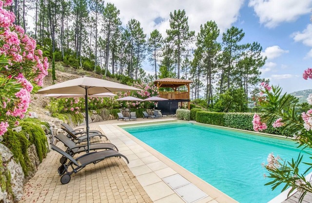 Villa in Le Muy with Private Pool & Forest