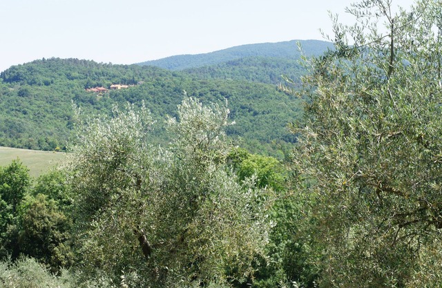 Villa in the woods and countryside near San Gimignano