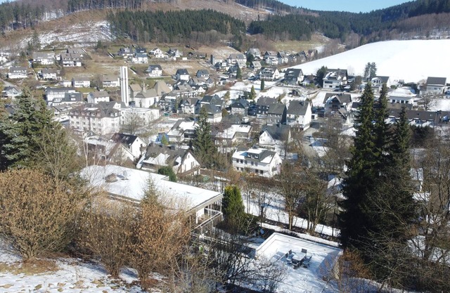 Villa in Winterberg near the ski resort