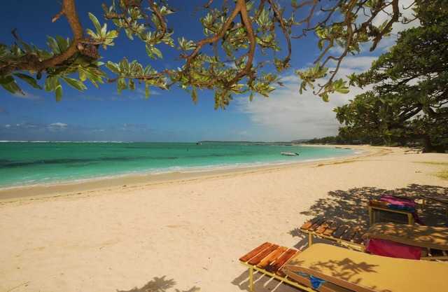 Villa L'Artiste Palmar Plage