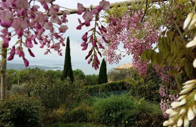 Villa La Moraiola