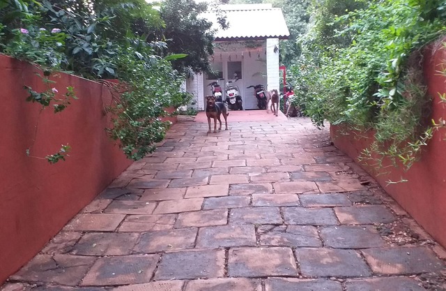 Villa LE BONHEUR AUROVILLE