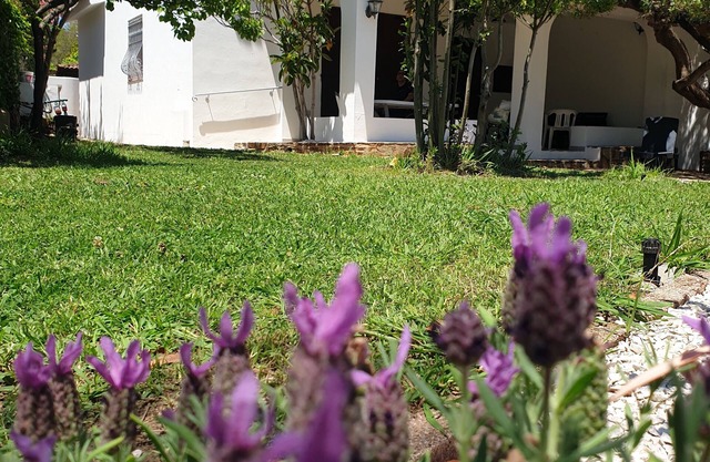 Villa Lentischio at 100 m to the sea with private garden,wif,airco,parking,bbq
