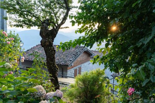 Villa Loris - History & Luxury