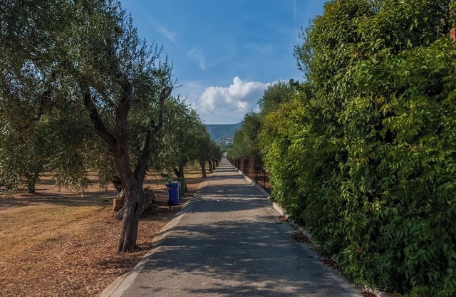 Villa Lucia Mono 2 Olive