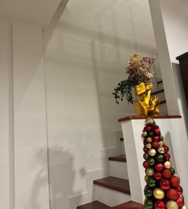 Villa Lux Area