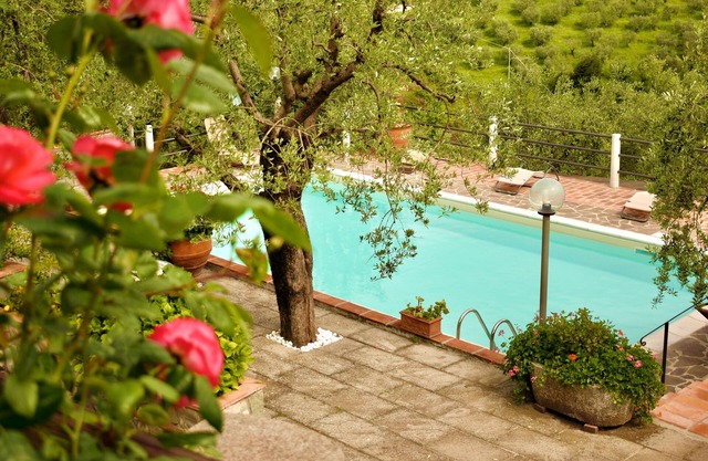 Villa Martinelli, a great value apt. with private salt water Pool, Wi-Fi, and AC