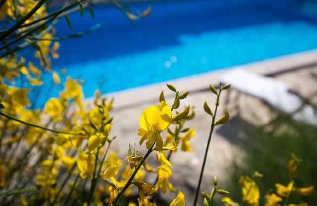 Villa Menta 1