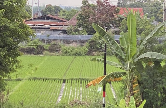 VILLA MIKE