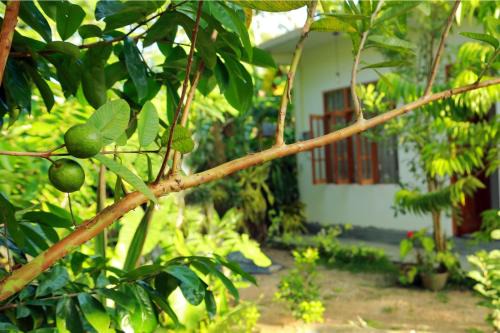 Villa Nature's Bounty