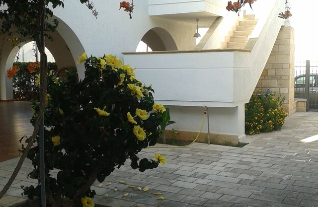 Villa near the beach and the center of Porto Cesareo