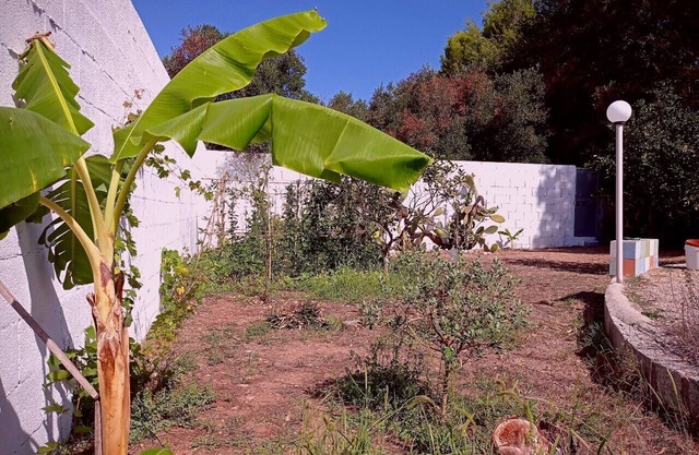 Villa "Oasi" in Roca Vecchia, detached house with large garden.