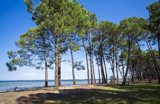 Villa Parentis-en-Born, 4 bedrooms, 8 persons