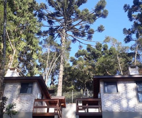 Villa Pinhas e Flores