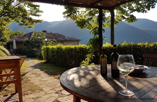Villa + pool near Florence. La Casaccia . Sleeps 6+ 1 baby. Peace and views