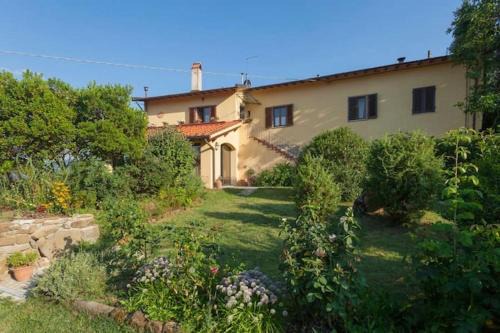 Villa Porcigliano Olive Grove