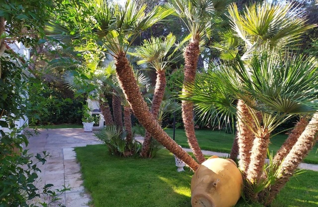 Villa Rosa Marina 100 meters from the sea