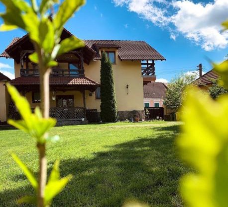 Villa Rusu