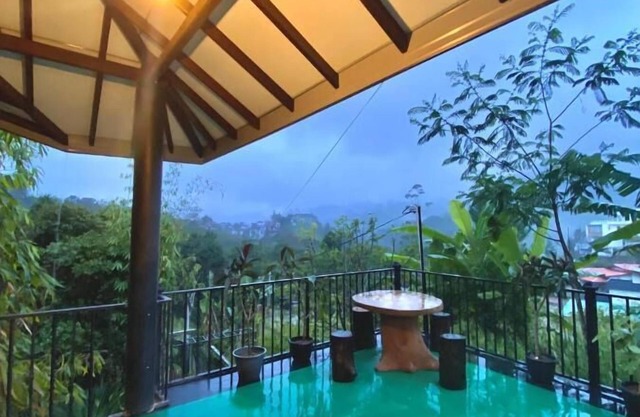 Villa Shungite