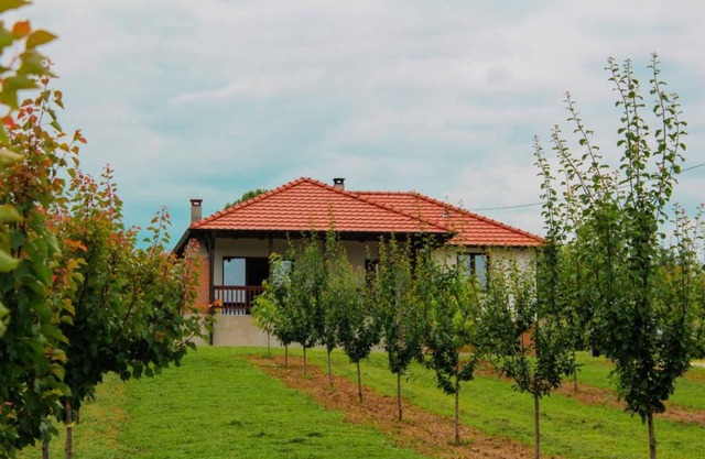 Villa Sladjana