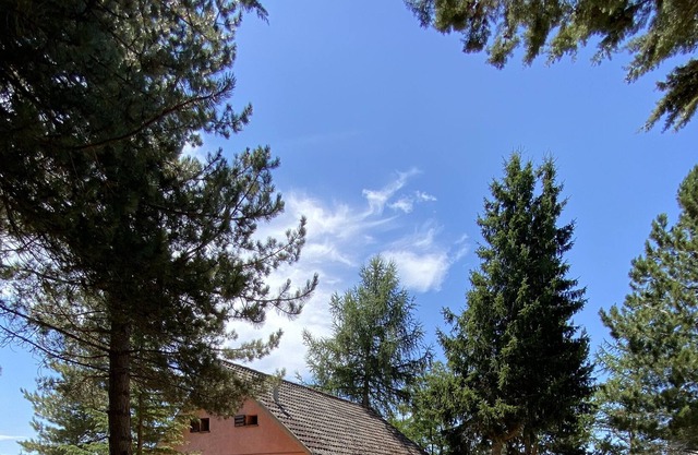 Villa su Lago con giardino recintato, 12 posti ,Wi-Fi,Bbq,taverna con camino