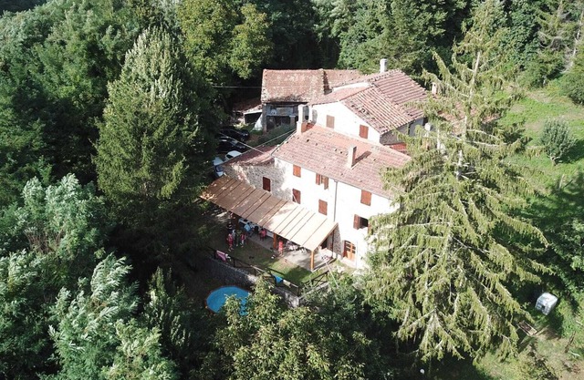 Villa surrounded by greenery