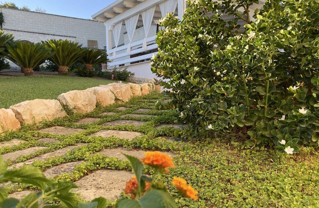 Villa surrounded by greenery